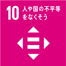 国内および国家間の不平等を是正する